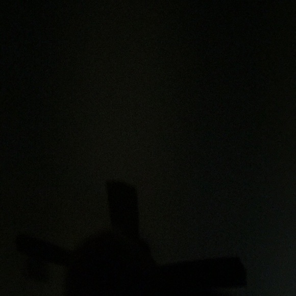 Meet your Posher, Gazzie - Picture 1 of 1